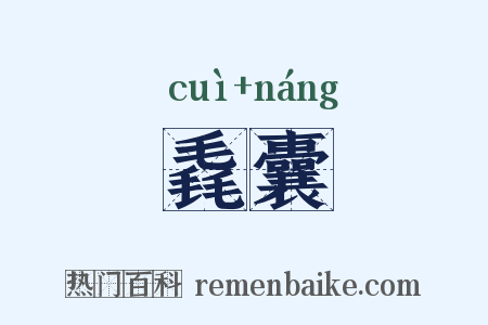 毳囊是什么意思的图片